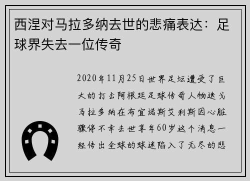 西涅对马拉多纳去世的悲痛表达：足球界失去一位传奇